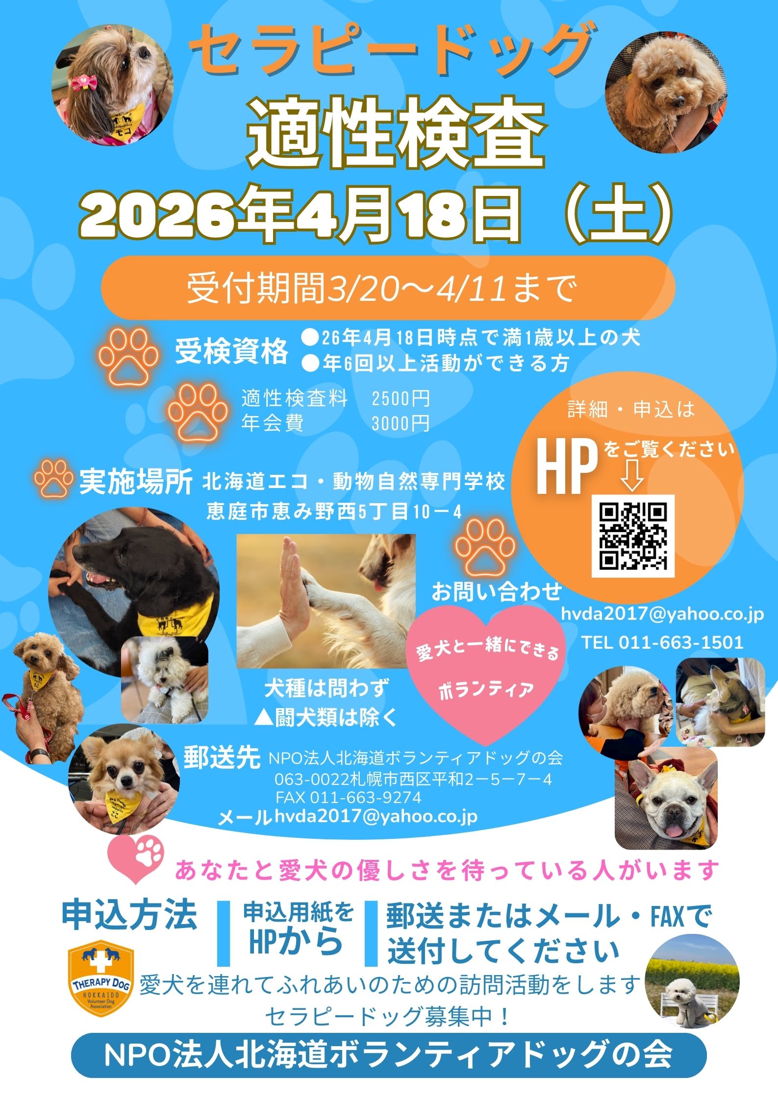 2026年春 適性検査のお知らせ | 北海道ボランティアドッグの会